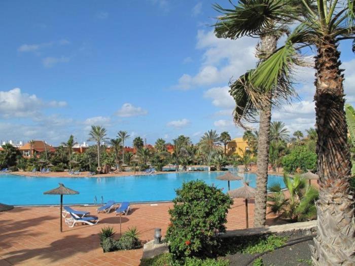 Oasis Tamarindo By Best Holidays Fuerteventura 코라레호 외부 사진