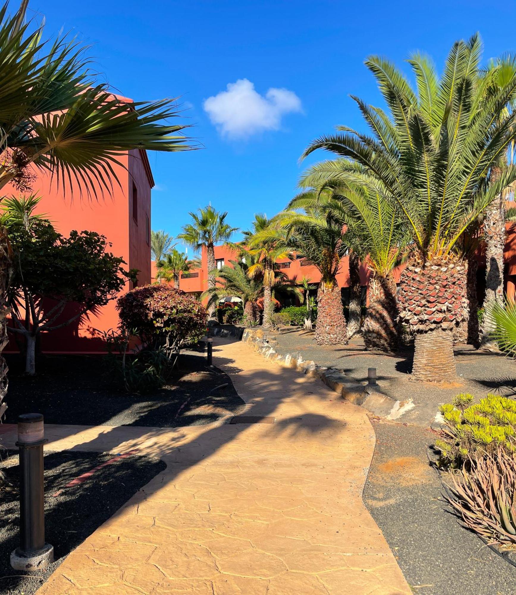Oasis Tamarindo By Best Holidays Fuerteventura 코라레호 외부 사진