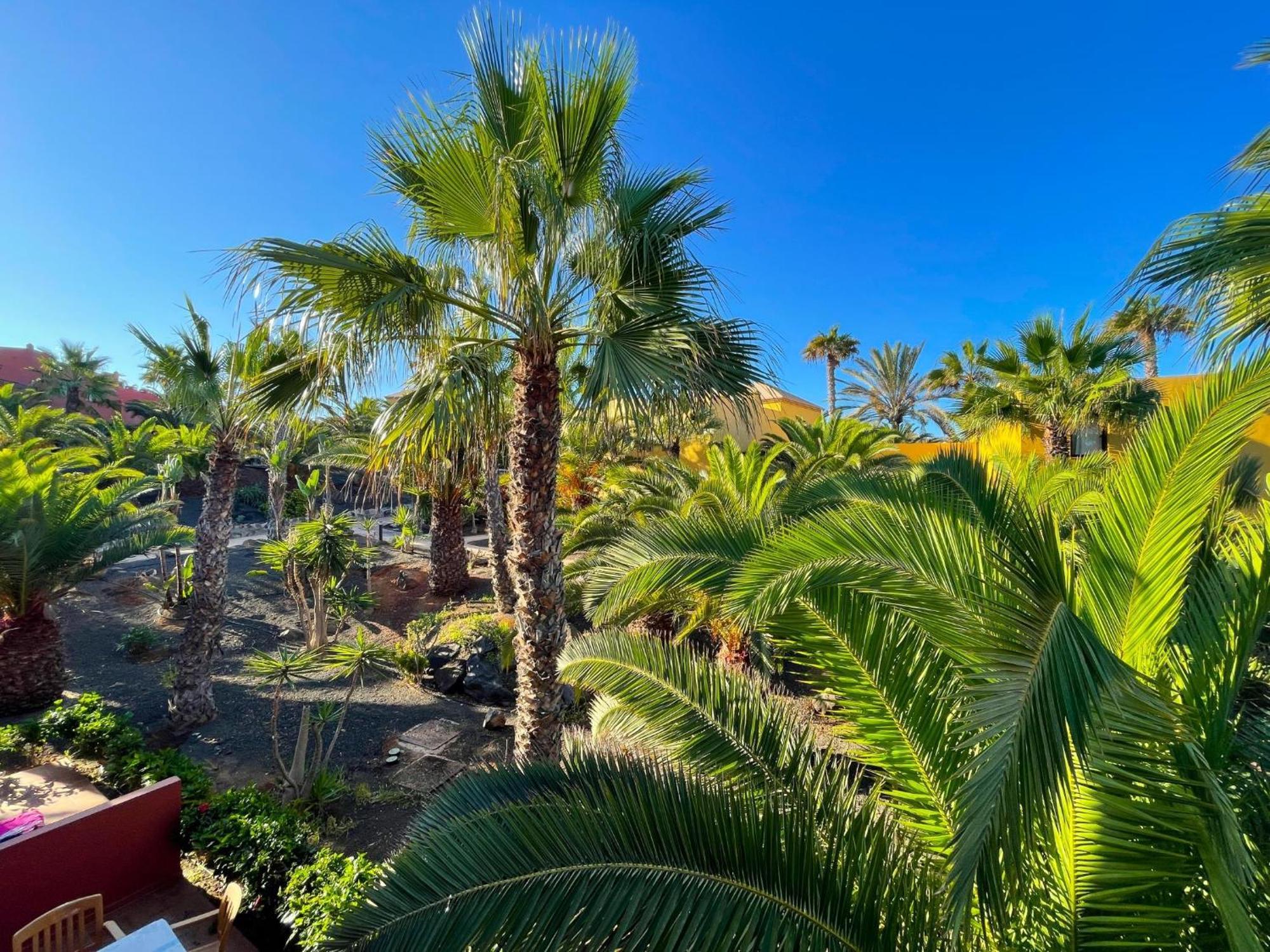 Oasis Tamarindo By Best Holidays Fuerteventura 코라레호 객실 사진
