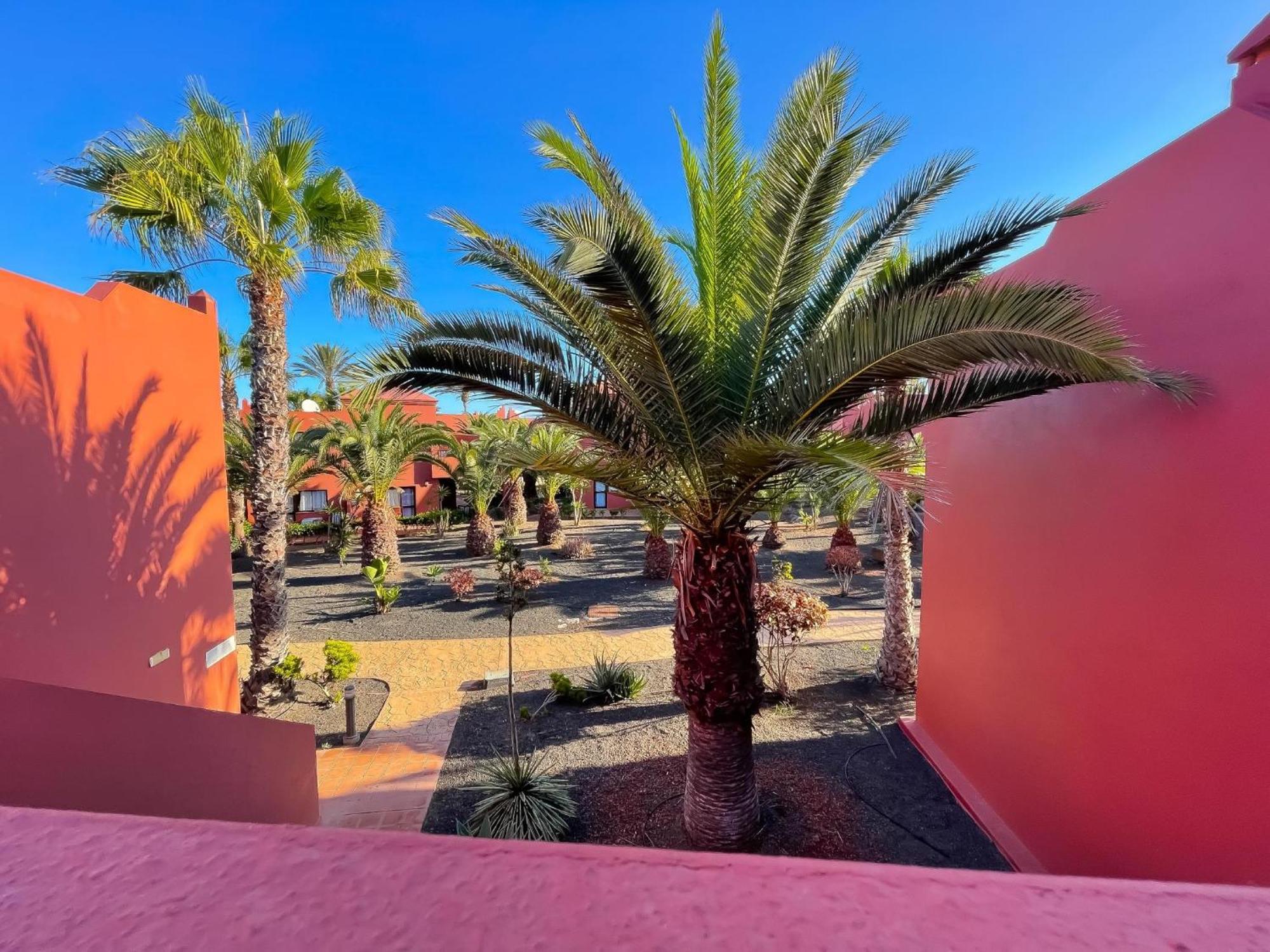 Oasis Tamarindo By Best Holidays Fuerteventura 코라레호 객실 사진